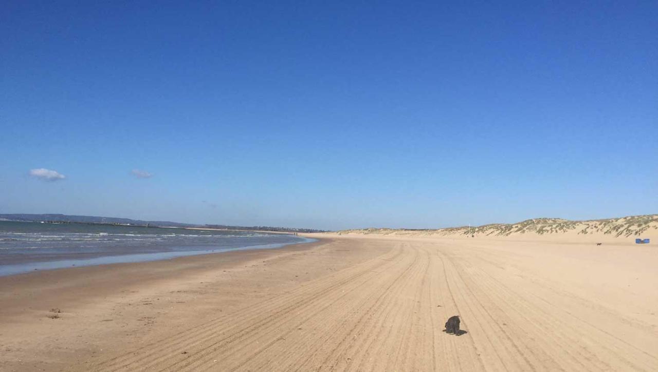 Вилла Owlers Retreat Camber Экстерьер фото